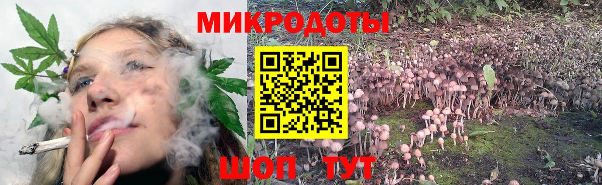 Псилоцибиновые грибы GOLDEN TEACHER Михайловка