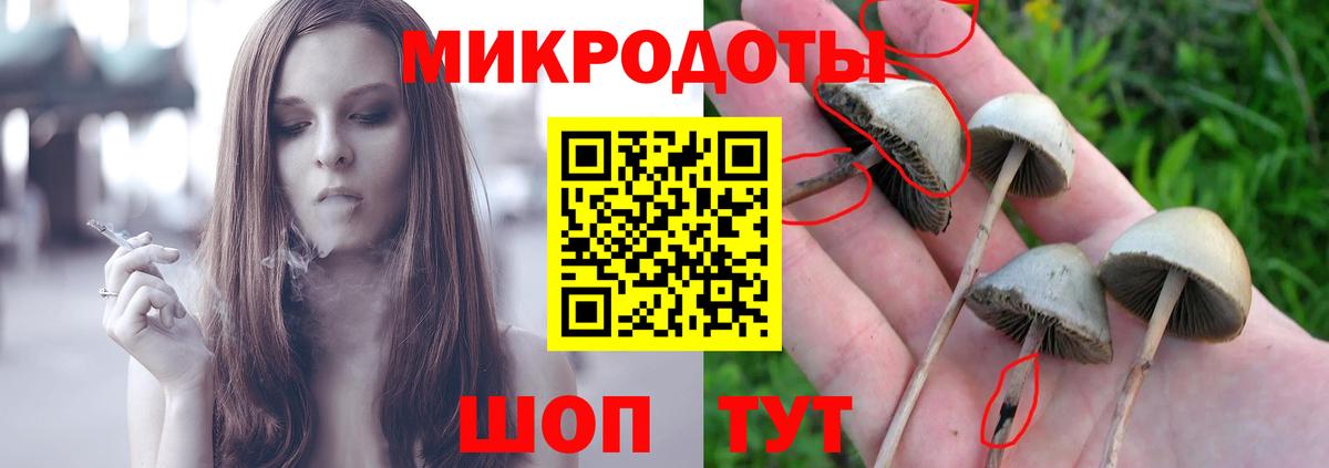 Михайловка  Галлюциногенные грибы Cubensis  Галлюциногенные грибы Psilocybine cubensis  купить  цена  Вход с VPN 